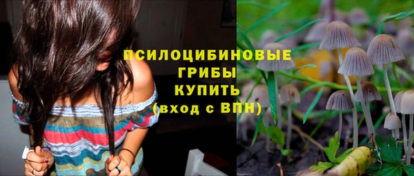 ГАЛЛЮЦИНОГЕННЫЕ ГРИБЫ Алексеевка