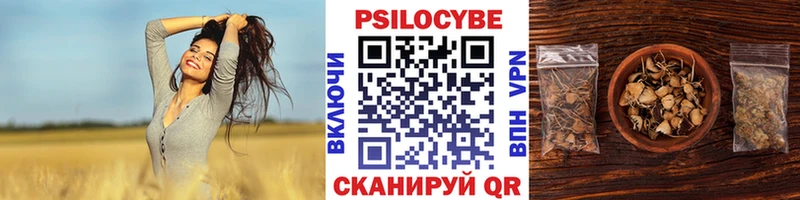 Галлюциногенные грибы MAGIC MUSHROOMS shop наркотические препараты Сенгилей